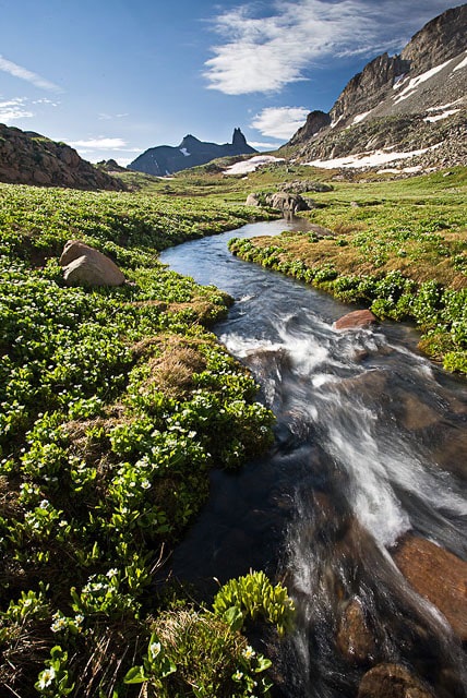 Low angle view of a spring mountain stream with Lizard Head peak in the distance.