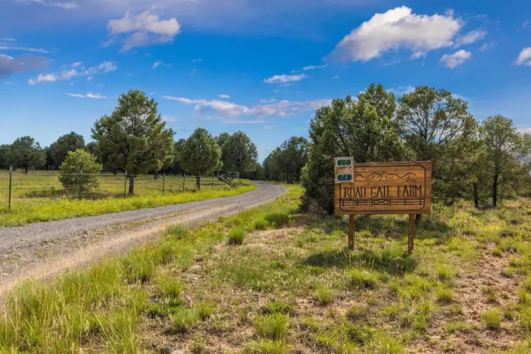 Verdant summer view of carriage road leading to real estate listing Road Gate Farm, with wooden sign showing the way.