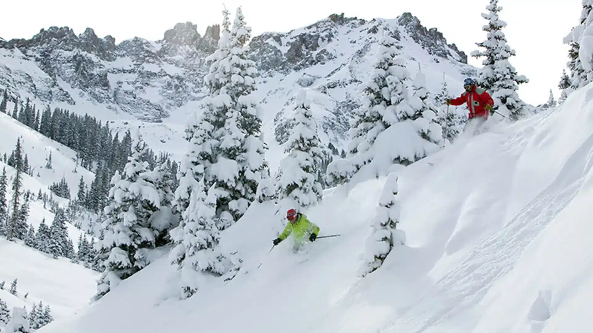 La rosa powder 1920x1080 La rosa powder 1920x1080