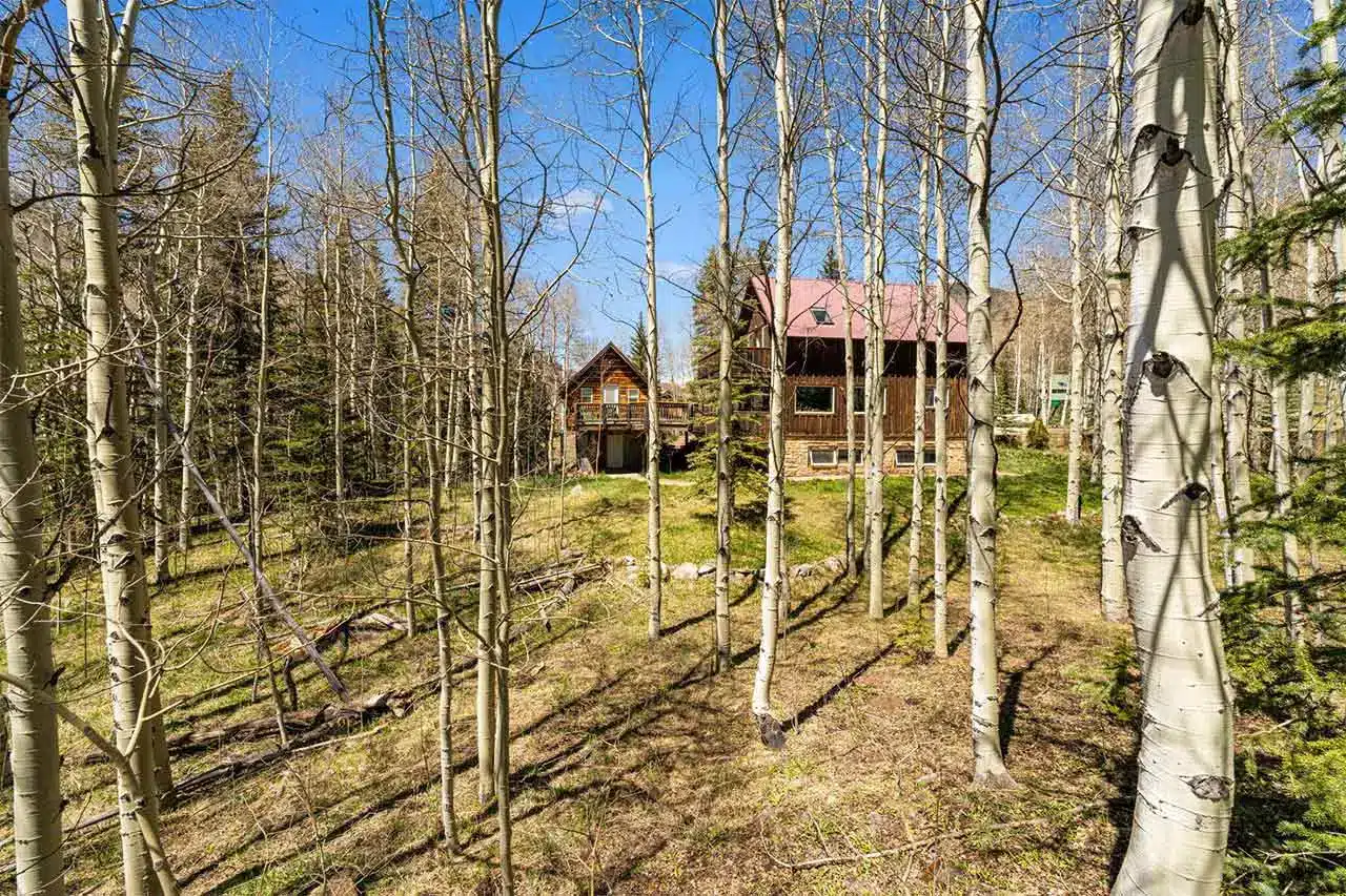 Sunny exterior view of Shimkonis Partners Telluride area real estate listing, 454 Silverglance Way, Rico