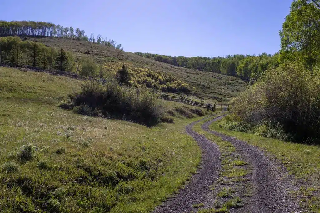 Summer view of Shimkonis Partners Telluride real estate listing, TBD East Wilson Mesa 60M, Placerville, featuring driving approach to a large parcel of land surrounded by forest