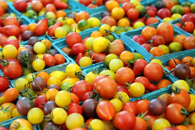 Farmers market tomatoes
